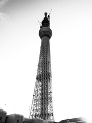 SKY TREE