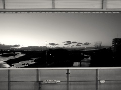 景