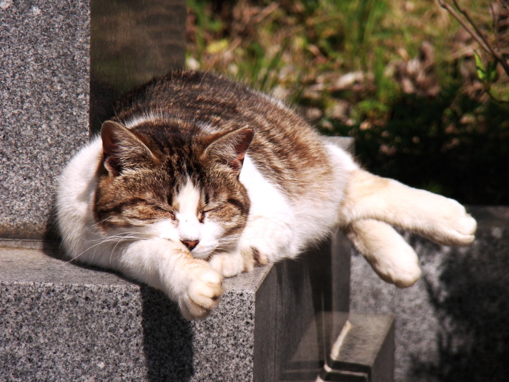快眠