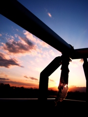 夕日　3