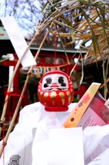DARUMA
