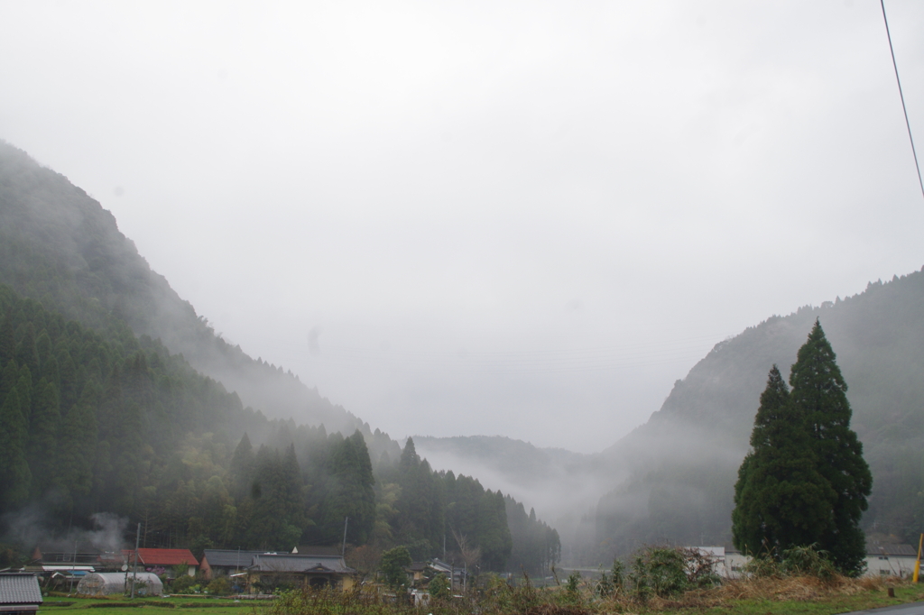 雨上がり