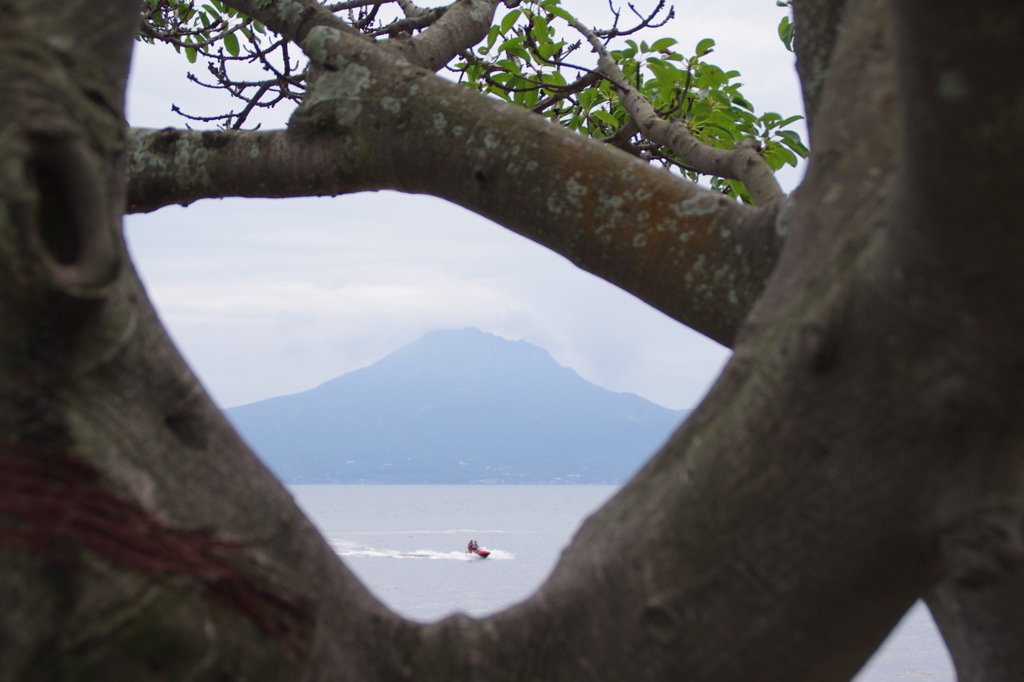 秋への入り口　見つけました