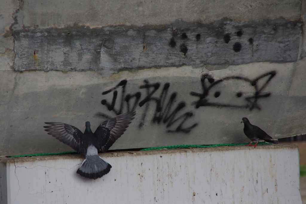 何？　してるの