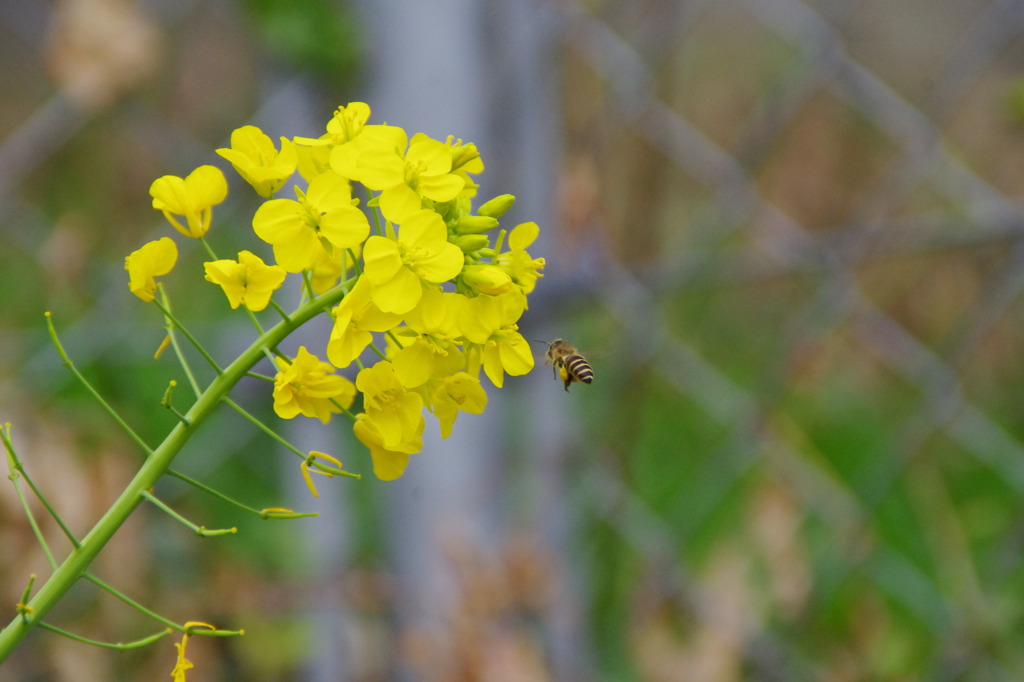 ポーズ撮ってる場合じゃないよ