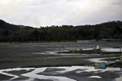 広沢池に水なし