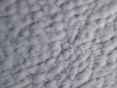 羊雲、うろこ雲