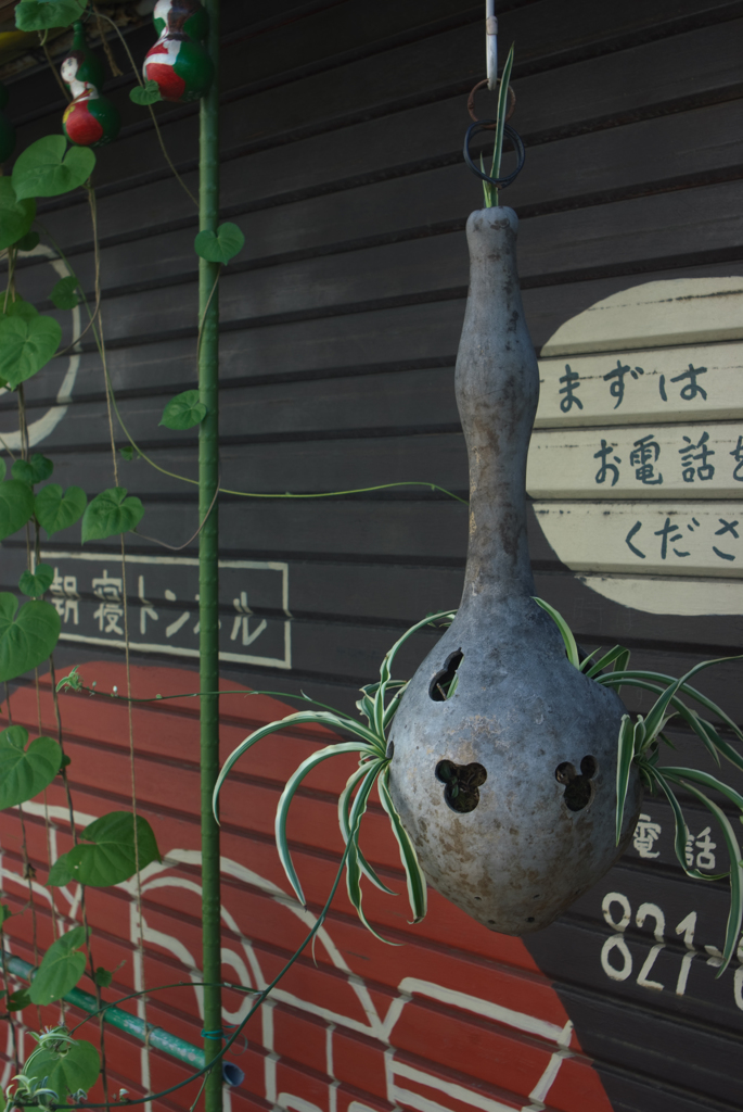 マラカスかな？鉢になってるよ