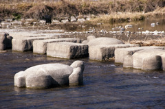 鴨川の亀石