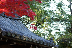 寺での紅葉