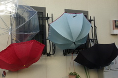 雨上がり傘のオンパレード