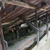 野菜洗い場