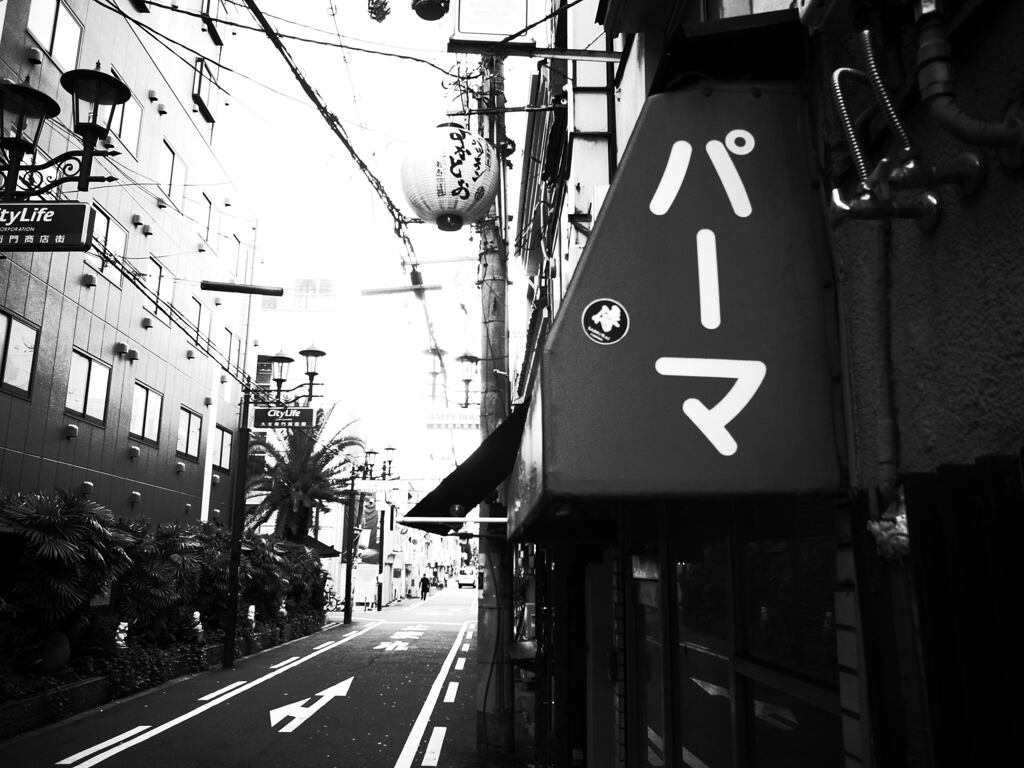逡巡