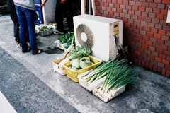 花が咲く（1）