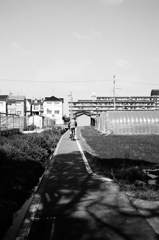 めぐる（10）