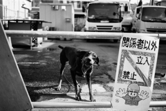 立入禁止