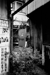 迷いたい町（6）