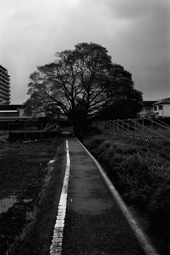 めぐる（1）