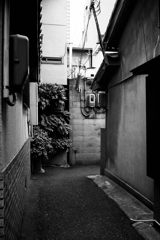 迷いたい町（4）