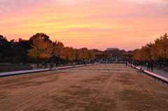 昭和記念公園と夕焼け、紅葉
