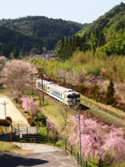 さくら列車