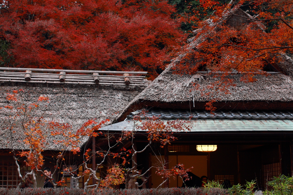 宝厳院　1