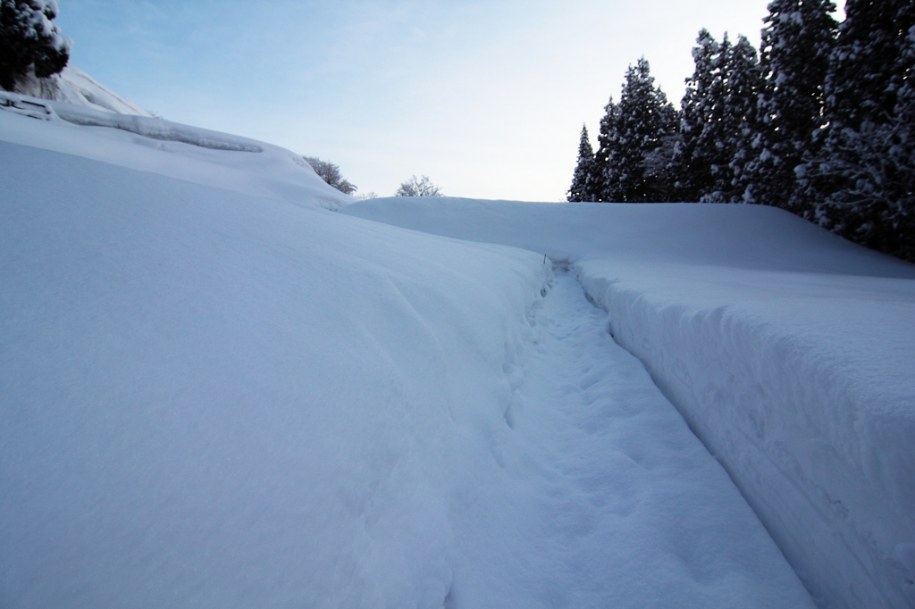 雪のあぜ道