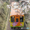 桜鉄道