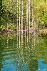 徳山湖船上撮影会