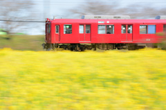 菜の花鉄道