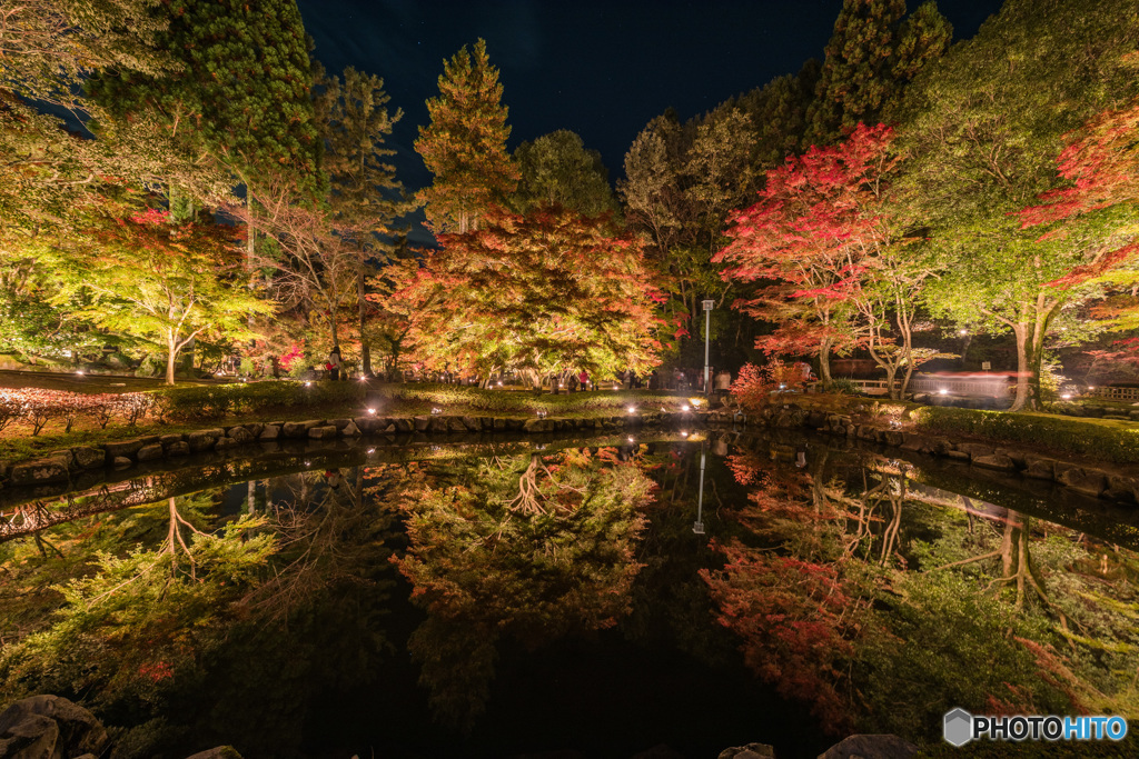 曽木公園ライトアップ