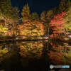 曽木公園ライトアップ
