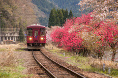 桜桃鉄道