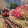 桜桃鉄道