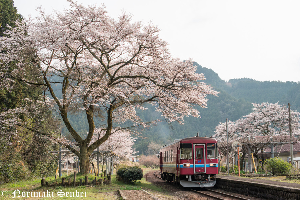 湯の洞温泉口駅