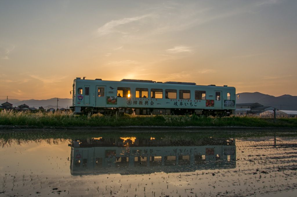 夕陽の樽見鉄道