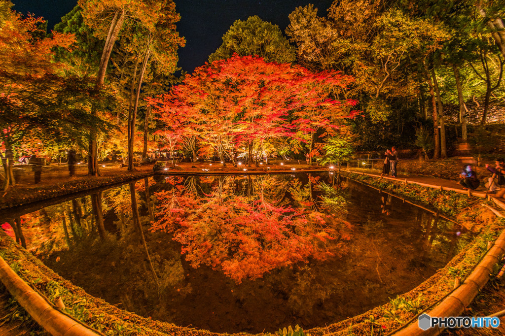 曽木公園紅葉ライトアップ