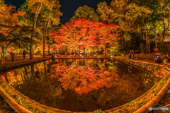 曽木公園紅葉ライトアップ