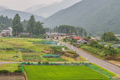 根尾谷断層、、、と樽見鉄道