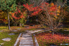 大智寺の紅葉