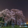 権現桜とお星さま