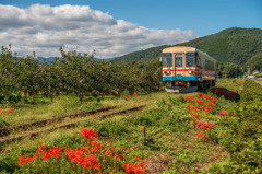 秋の樽見鉄道