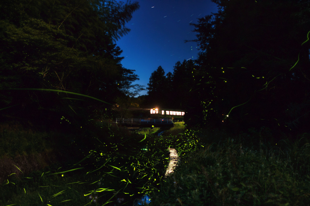 星蛍鉄写真