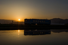 夕日の樽見鉄道