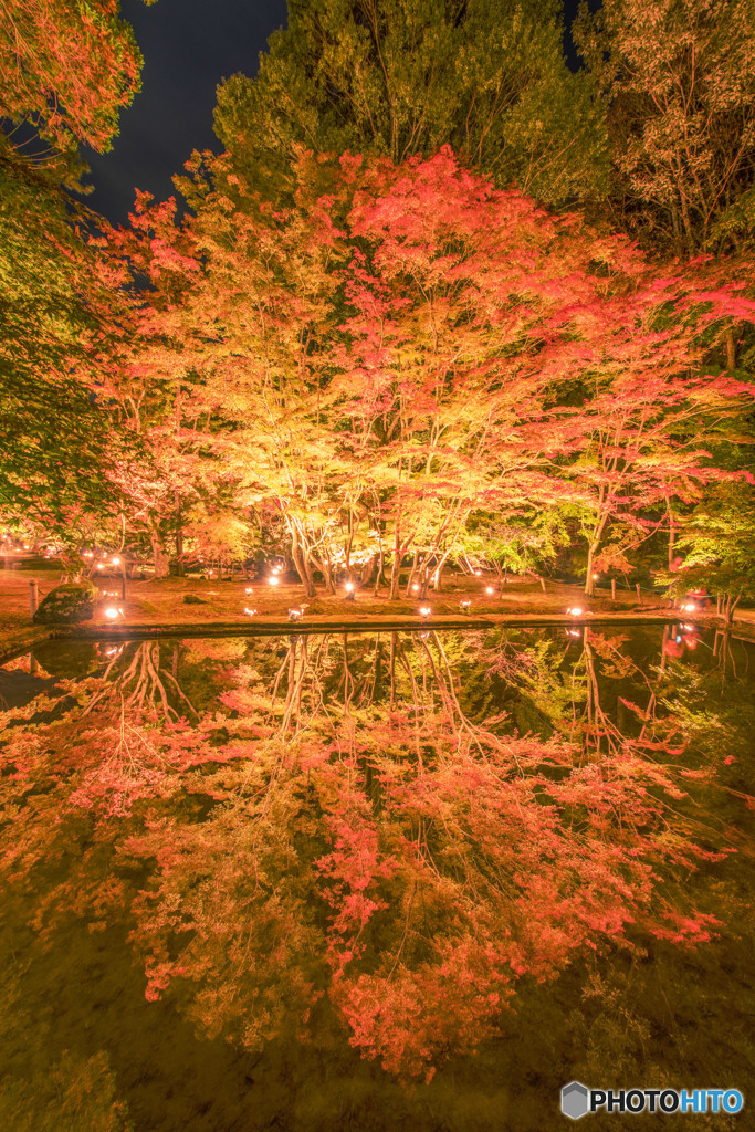 曽木公園ライトアップ