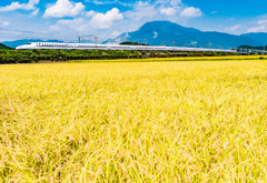 晩夏の新幹線風景