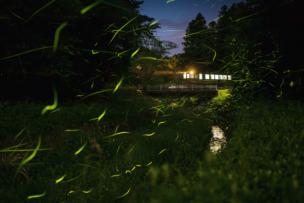 ホタル鉄道