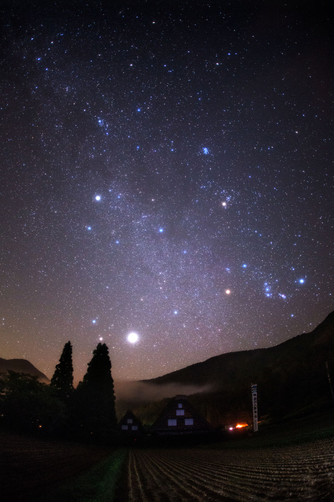秋の夜長に