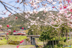 花桃鉄道３