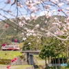 花桃鉄道３
